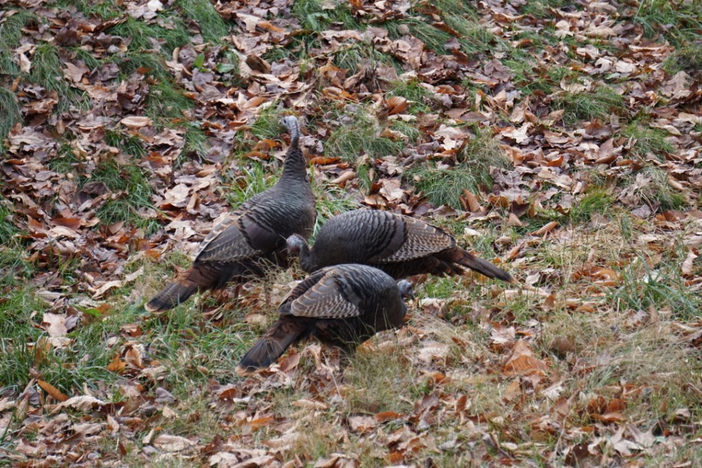 Facebook vs Twitter: So what’s the difference between&nbsp;them?