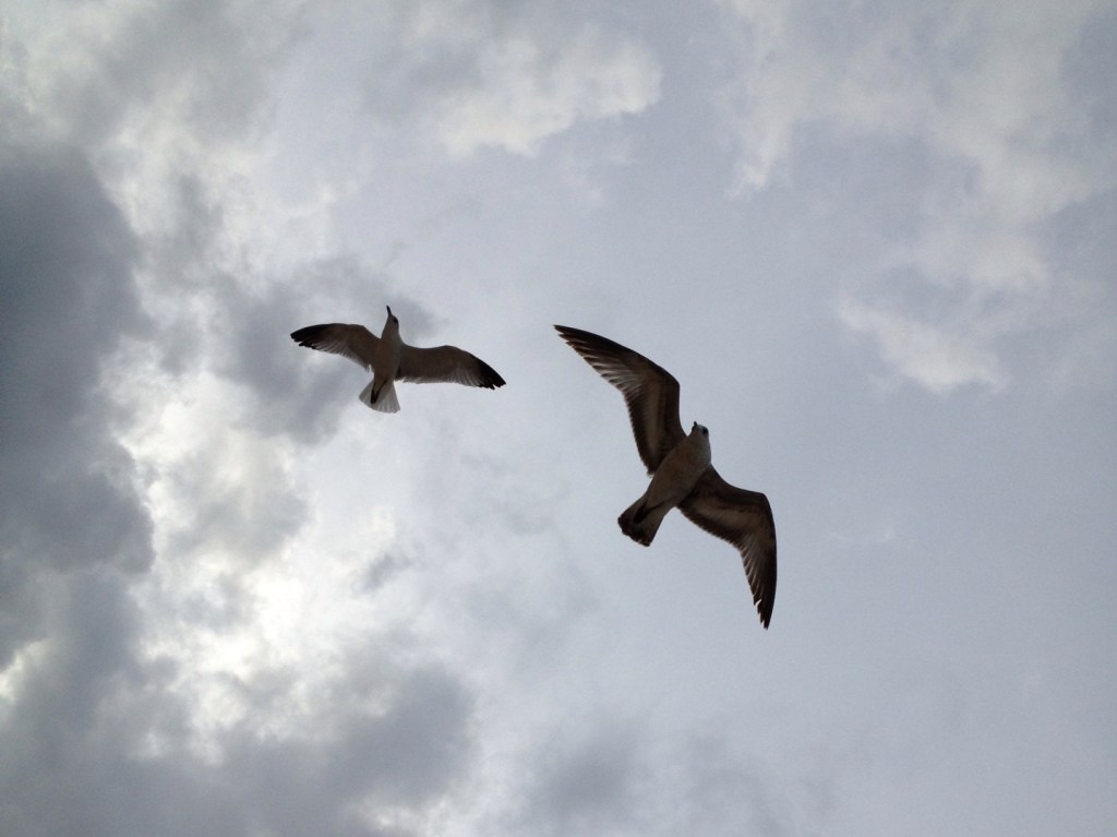 If you feel that this site is running snappier, you’re probably&nbsp;right.