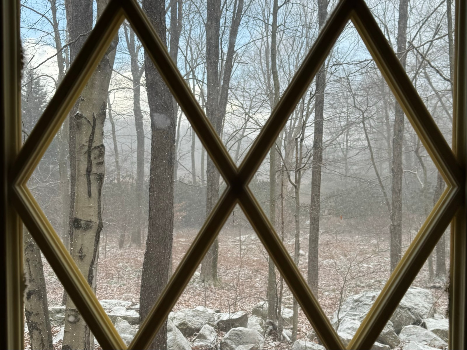 Another trip around the sun